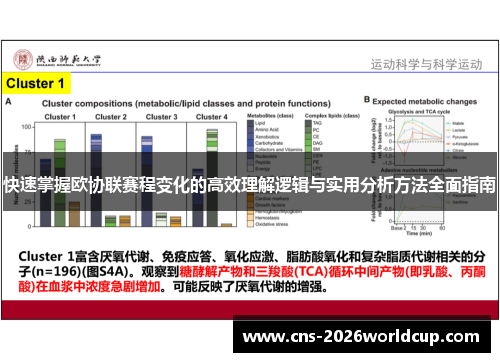快速掌握欧协联赛程变化的高效理解逻辑与实用分析方法全面指南